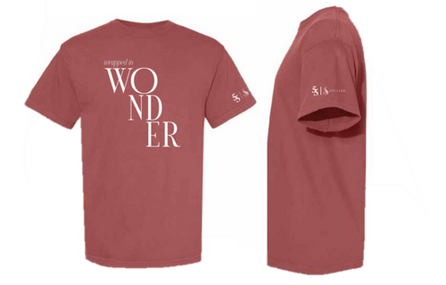 $16 - 2025 Holiday shirt