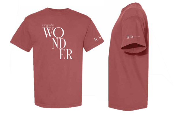 $16 - 2025 Holiday shirt